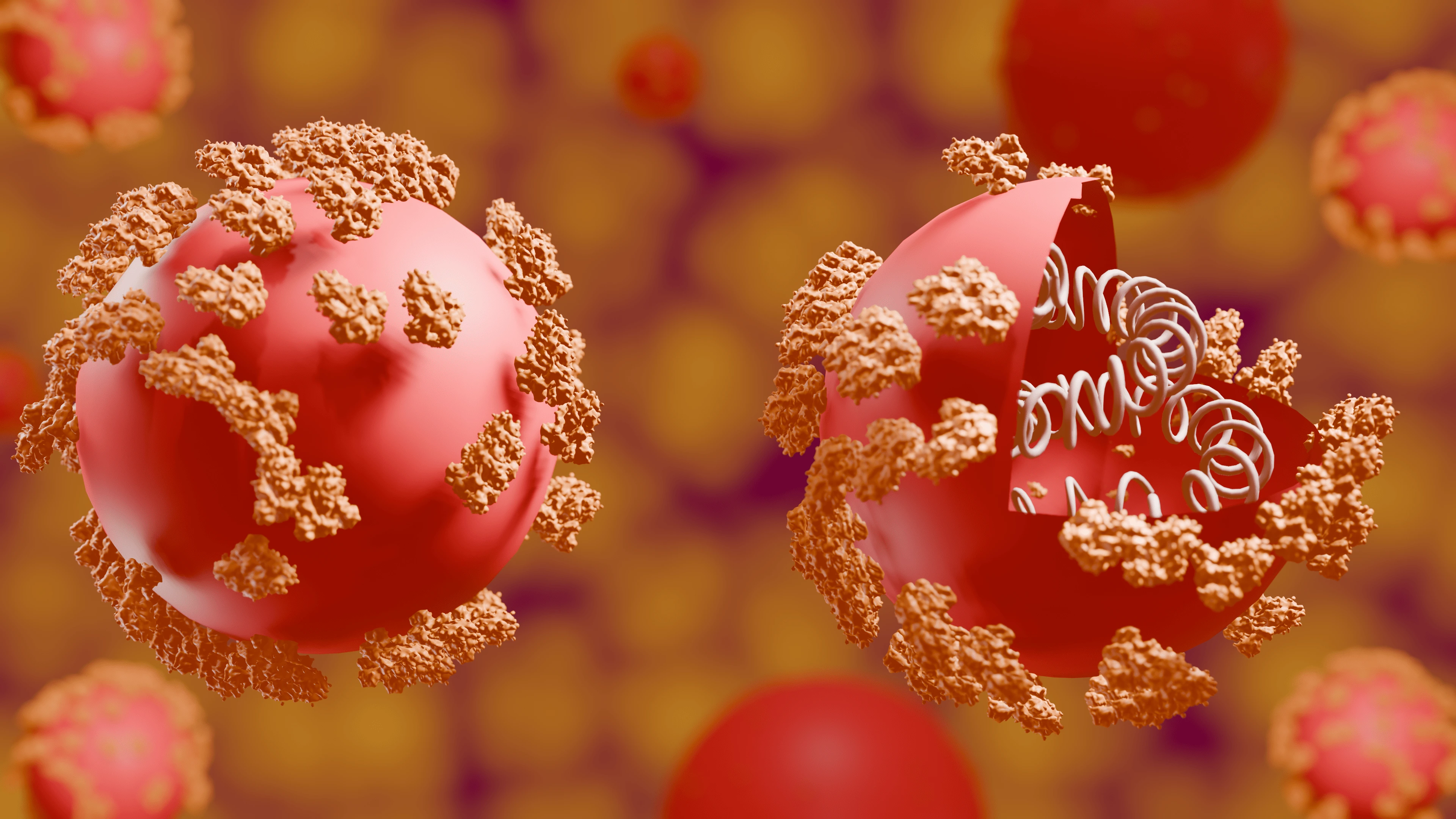 SARS-CoV2 Structure